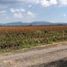  Land for sale in El Salto, Jalisco, El Salto