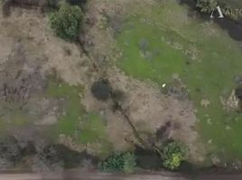  Terreno (Parcela) en venta en Maule, Pelarco, Talca, Maule