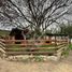  Land for sale in Chile, Coquimbo, Elqui, Coquimbo, Chile