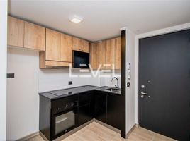 1 Bedroom Apartment for rent in Chile, Santiago, Santiago, Santiago, Chile