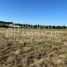  Land for sale in Chile, Chillan, Diguillin, Nuble, Chile