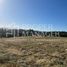  Land for sale in Chile, Chillan, Diguillin, Nuble, Chile