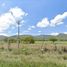  Land for sale in Etzatlan, Jalisco, Etzatlan