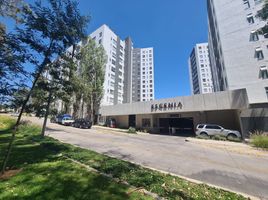 2 Schlafzimmer Wohnung zu vermieten in Guadalajara, Jalisco, Guadalajara