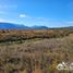  Land for sale in Cushamen, Chubut, Cushamen, Chubut
