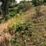  Grundstück zu verkaufen in Santa Rosa De Cabal, Risaralda, Santa Rosa De Cabal, Risaralda
