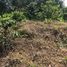  Grundstück zu verkaufen in Santa Rosa De Cabal, Risaralda, Santa Rosa De Cabal, Risaralda