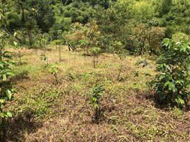  Grundstück zu verkaufen in Santa Rosa De Cabal, Risaralda, Santa Rosa De Cabal, Risaralda