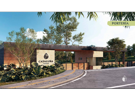  Land for sale in Abejorral, Antioquia, Abejorral