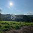  Land for sale in Neira, Caldas, Neira