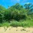  Land for sale in Merida, Yucatan, Merida, Yucatan