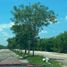  Land for sale in Merida, Yucatan, Merida, Yucatan