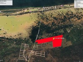  Terreno (Parcela) en venta en Dzidzantun, Yucatán, Dzidzantun