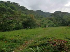 2 Bedroom House for sale in Colombia, Santa Rosa De Cabal, Risaralda, Colombia