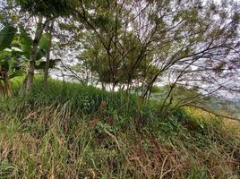  Land for sale in Caldas, Manizales, Caldas