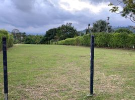  Land for sale in Salento, Quindio, Salento