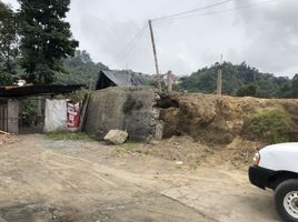  Terreno (Parcela) en venta en Caldas, Manizales, Caldas