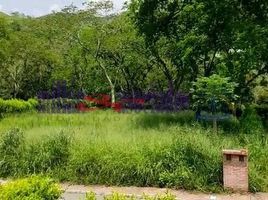  Land for sale in Caldas, Manizales, Caldas