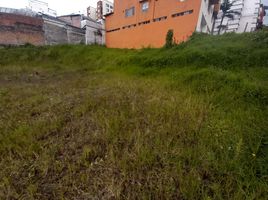  Terreno (Parcela) en venta en Manizales, Caldas, Manizales