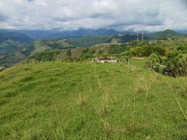  Land for sale in Caldas, Neira, Caldas