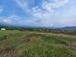  Land for sale in Manizales, Caldas, Manizales