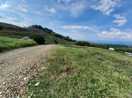  Land for sale in Manizales, Caldas, Manizales