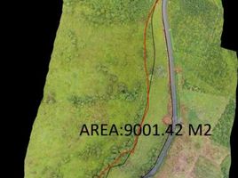  Land for sale in Santa Rosa De Cabal, Risaralda, Santa Rosa De Cabal