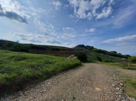  Land for sale in Caldas, Manizales, Caldas