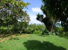  Land for sale in Manizales, Caldas, Manizales