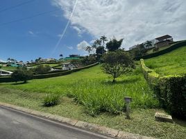  Terreno (Parcela) en venta en Manizales, Caldas, Manizales