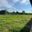  Land for rent in Acanceh Yucatan, Acanceh