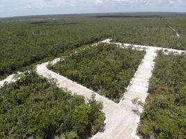  Grundstück zu verkaufen in Cozumel, Quintana Roo, Cozumel