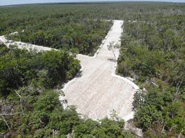  Grundstück zu verkaufen in Cozumel, Quintana Roo, Cozumel