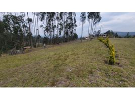  Land for sale in Azuay, Cuenca, Cuenca, Azuay