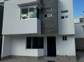 Maison 3 chambre à vendre à Temoaya, Mexico, Temoaya