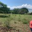  Land for sale in Jocotepec, Jalisco, Jocotepec