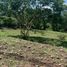  Land for sale in Jocotepec, Jalisco, Jocotepec