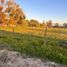  Terreno (Parcela) en venta en Maule, Longavi, Linares, Maule