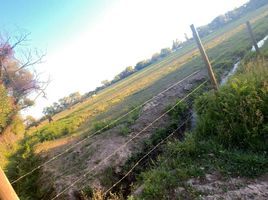  Terreno (Parcela) en venta en Maule, Longavi, Linares, Maule