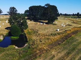  Land for sale in Chile, Osorno, Osorno, Los Lagos, Chile