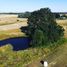 Land for sale in Chile, Osorno, Osorno, Los Lagos, Chile