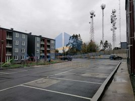 1 chambre Appartement for sale in Llanquihue, Los Lagos, Puerto Montt, Llanquihue