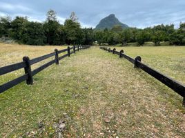  Terreno (Parcela) en venta en Ranco, Los Ríos, Futrono, Ranco