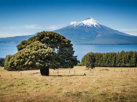  Land for sale in Llanquihue, Los Lagos, Puerto Varas, Llanquihue