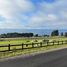  Land for sale in Llanquihue, Los Lagos, Puerto Varas, Llanquihue