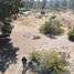  Land for sale in Valparaiso, Algarrobo, San Antonio, Valparaiso