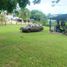  Terreno (Parcela) en venta en Othon P Blanco, Quintana Roo, Othon P Blanco