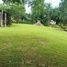  Terreno (Parcela) en venta en Othon P Blanco, Quintana Roo, Othon P Blanco