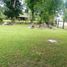 Terreno (Parcela) en venta en Othon P Blanco, Quintana Roo, Othon P Blanco