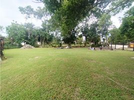  Terreno (Parcela) en venta en Othon P Blanco, Quintana Roo, Othon P Blanco